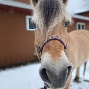 Meet your Posher, Brynn